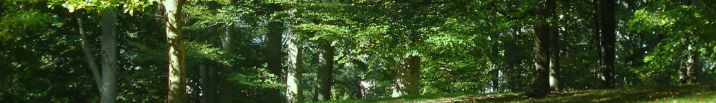 Gay Chatting Webpage